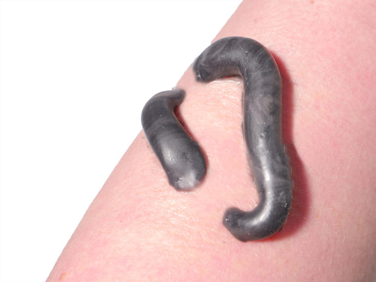 Silicone Leech Prosthetic – Realistic SFX Wound for Halloween & Film Makeup