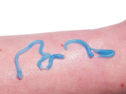 Silicone Tapeworm Under Skin Prosthetic – Realistic SFX for Halloween & Film Makeup