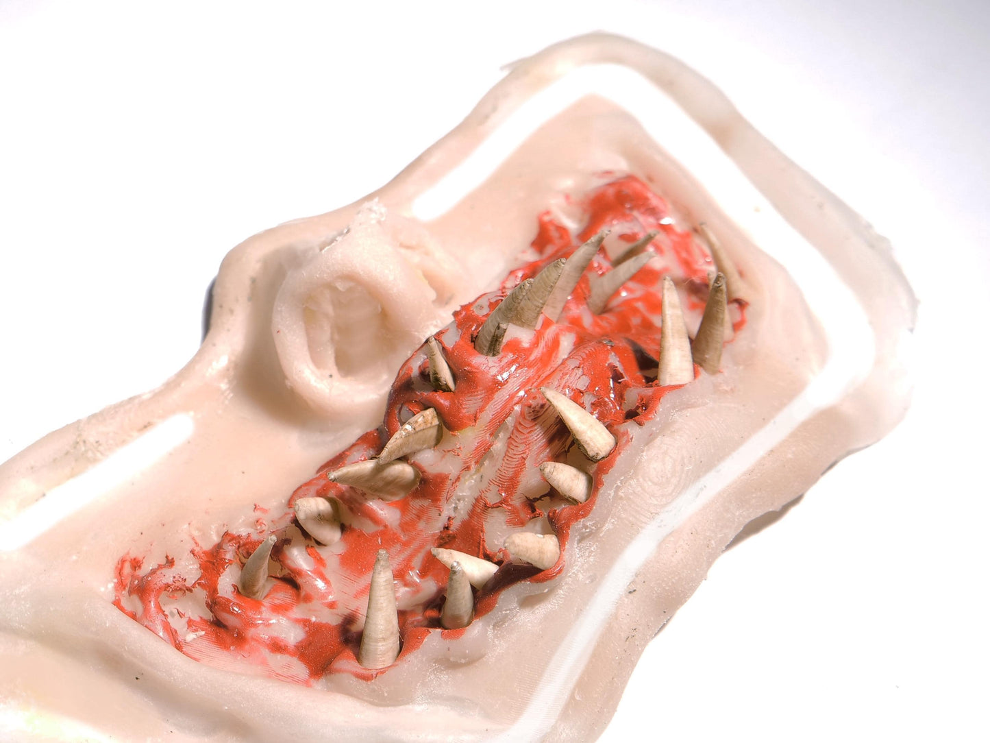 Pre-Painted Silicone Animal Snarl Prosthetic: SFX Monster Makeup
