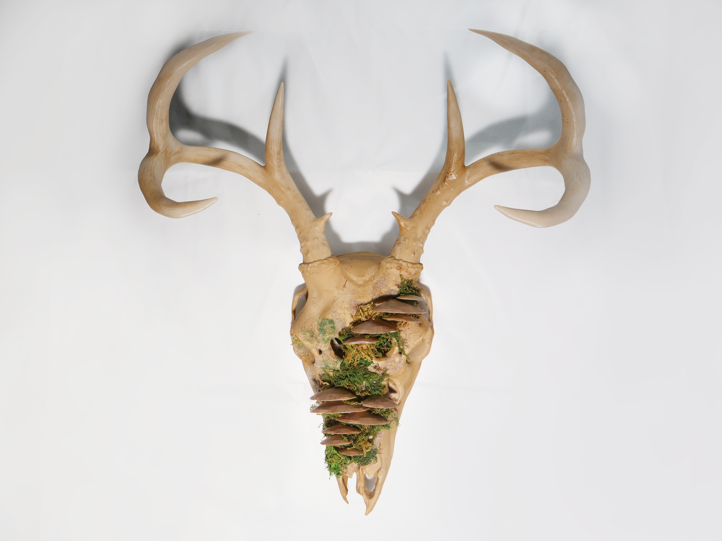 Vegan Faux Deer Skull Wall Decor & Mask