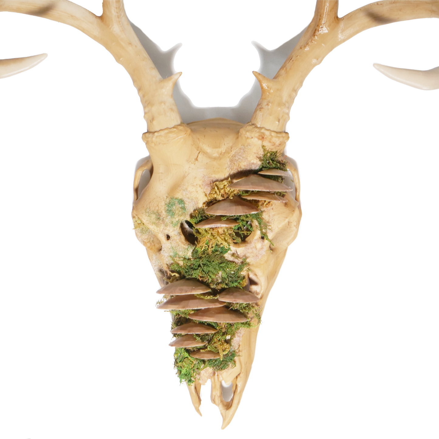 Mushroom Faux Deer Skull Mask & Wall Decor Art