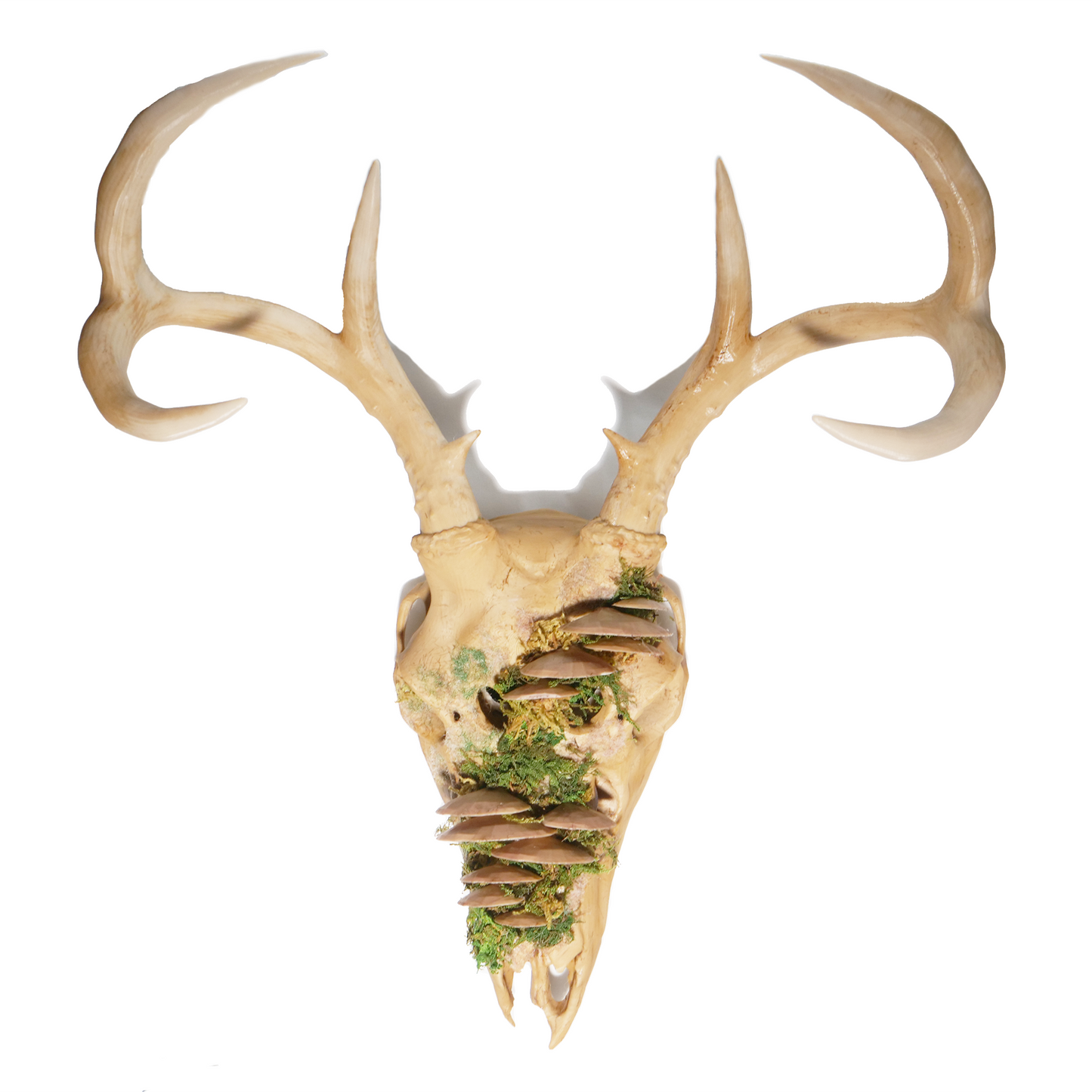 Mushroom Faux Deer Skull Mask & Wall Decor Art