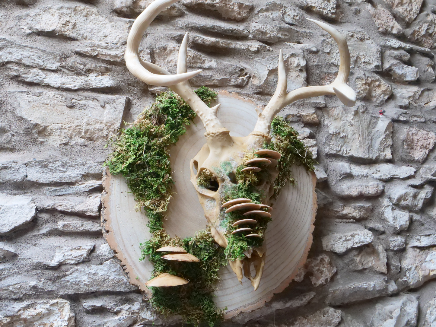 Vegan Faux Deer Skull Wall Decor & Mask