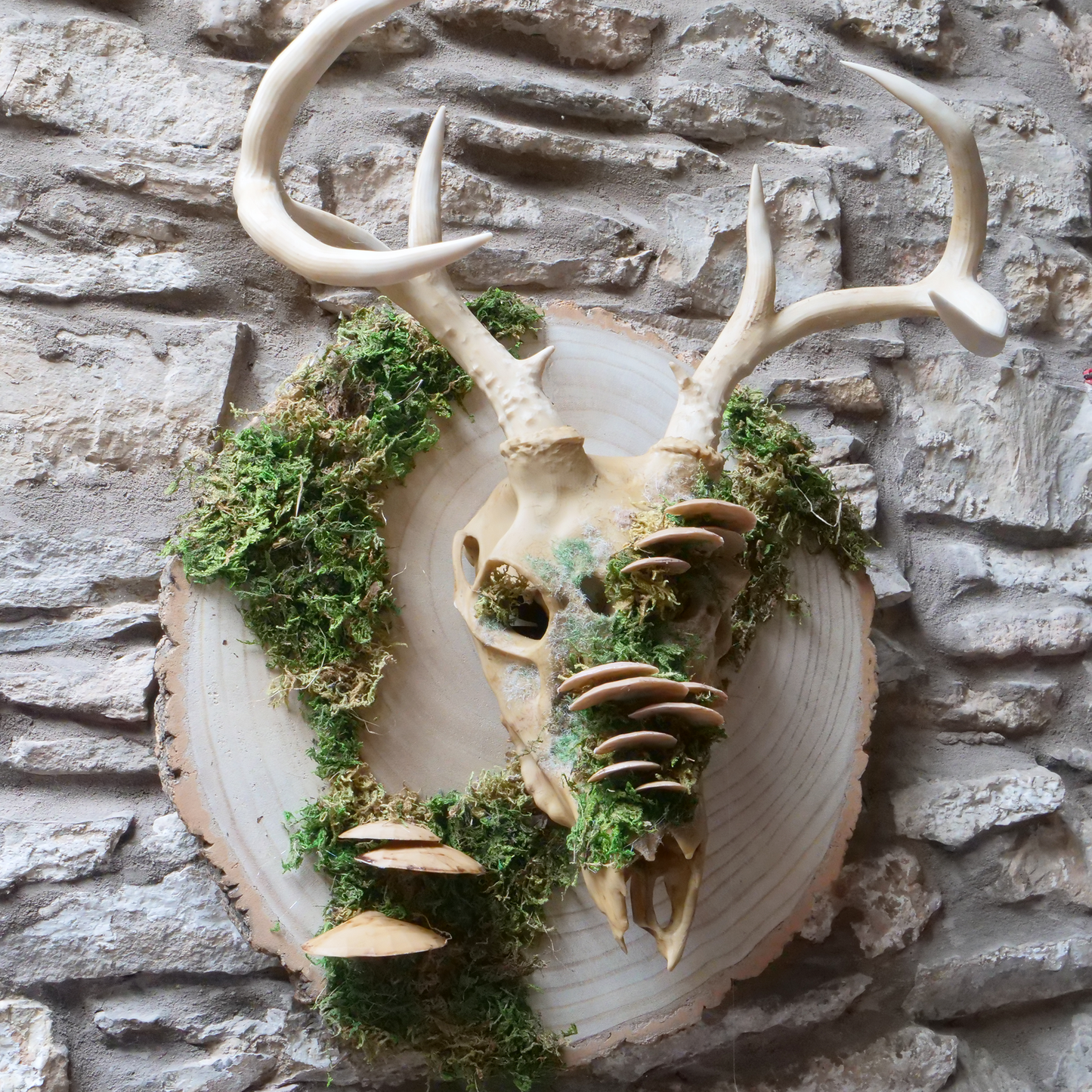 Mushroom Faux Deer Skull Mask & Wall Decor Art