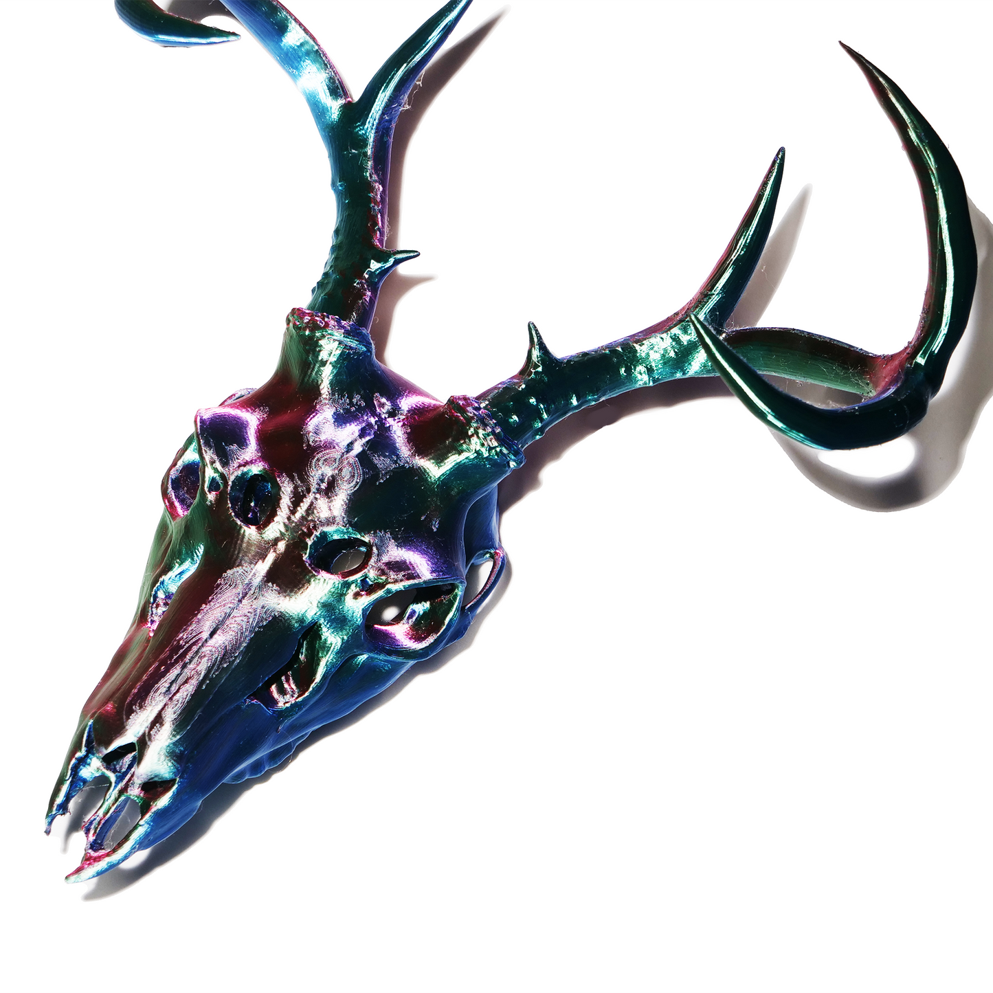 Gothic Faux Deer Skull Mask & Wall Mount