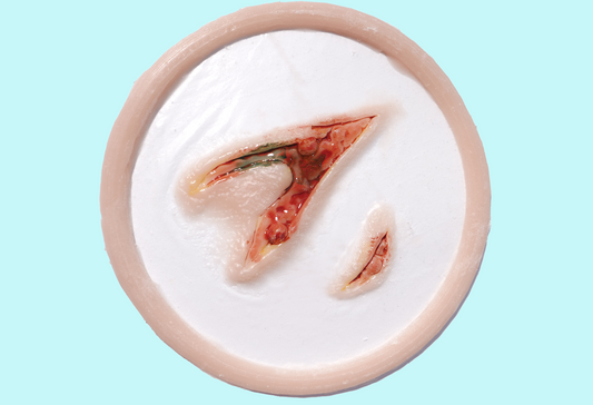 Large Deep Laceration Prosthetic - Encapsulated Painted Silicone Trauma FX