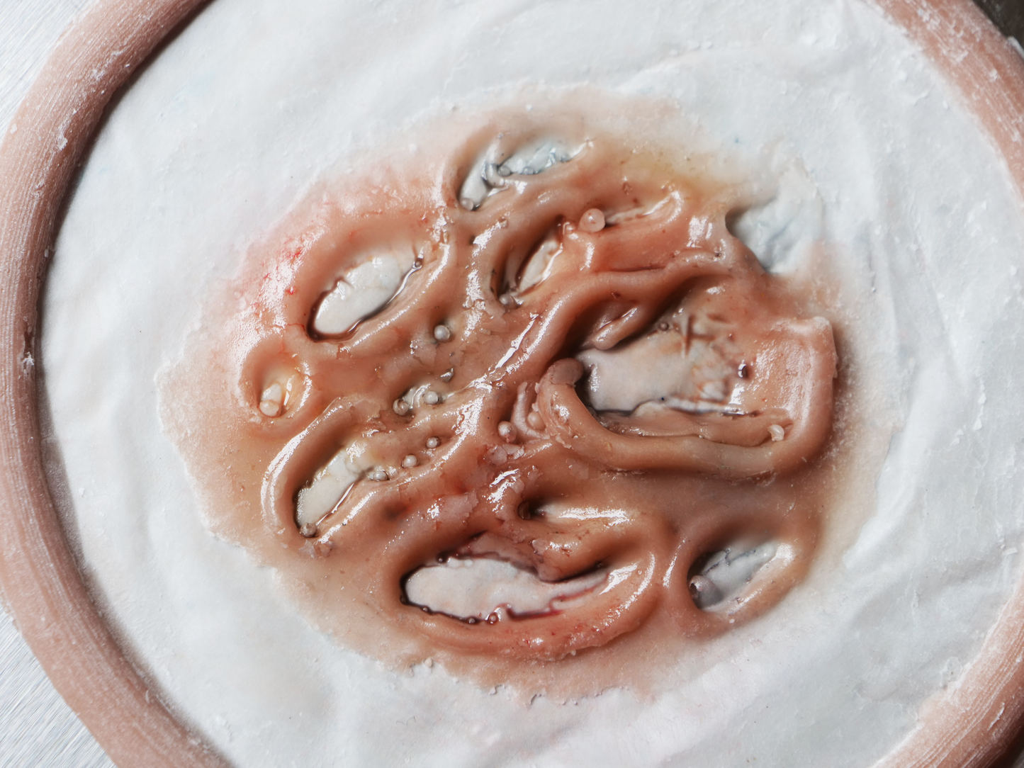 Rotten Skin Prosthetic