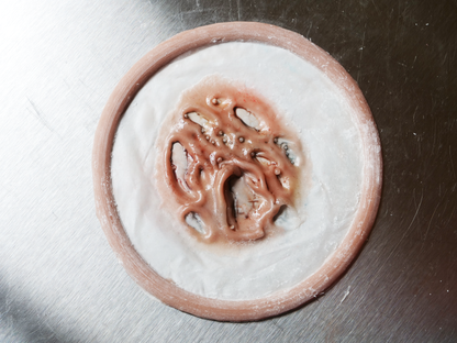 Rotten Skin Prosthetic