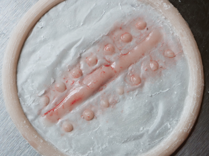 Suture Scar Prosthetic