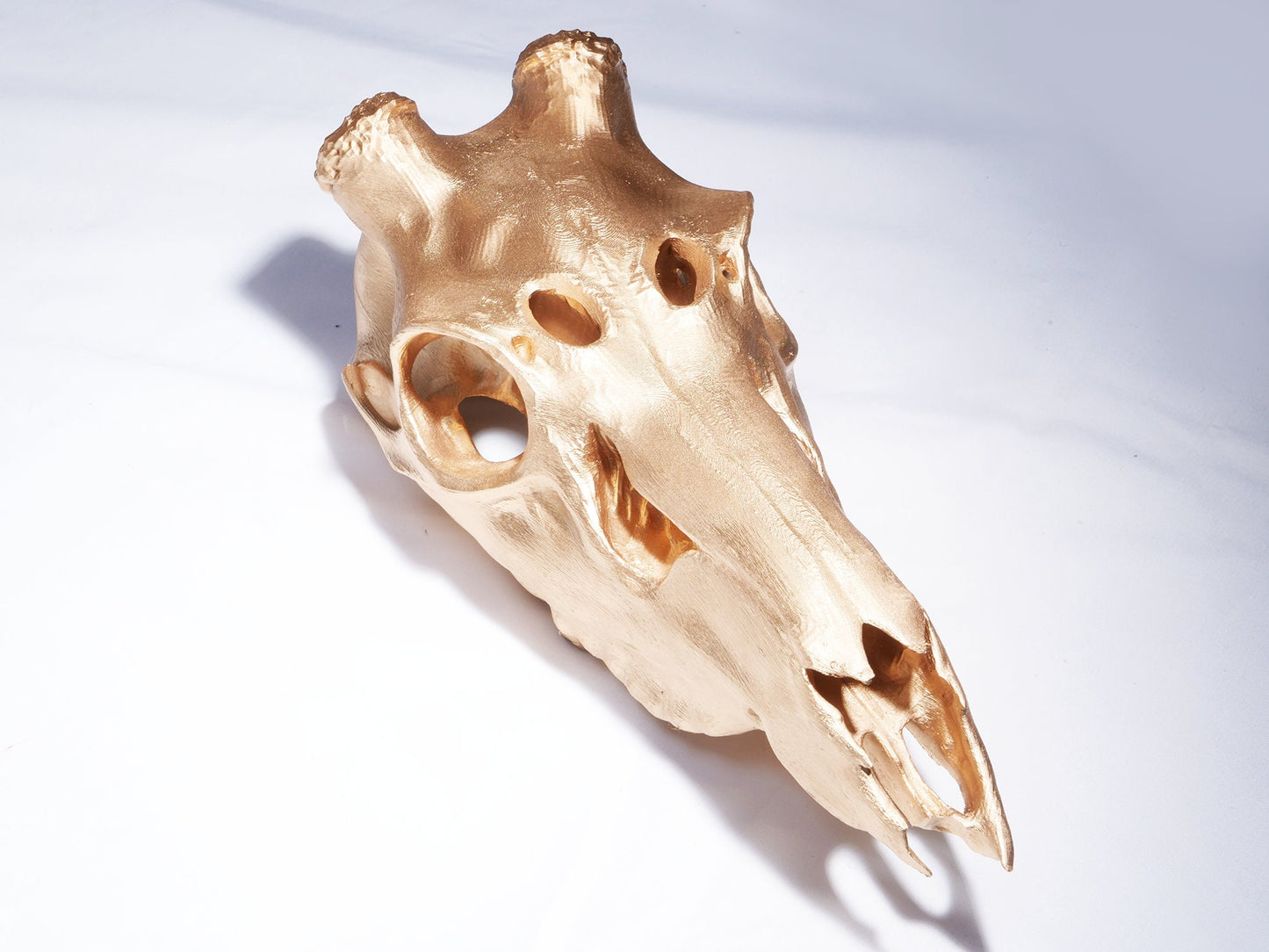 Recycled Faux Gold Deer Skull