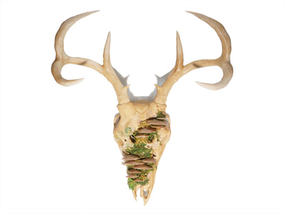 [Item 402: Cervid Effigy] — Faux Deer Skull Mask