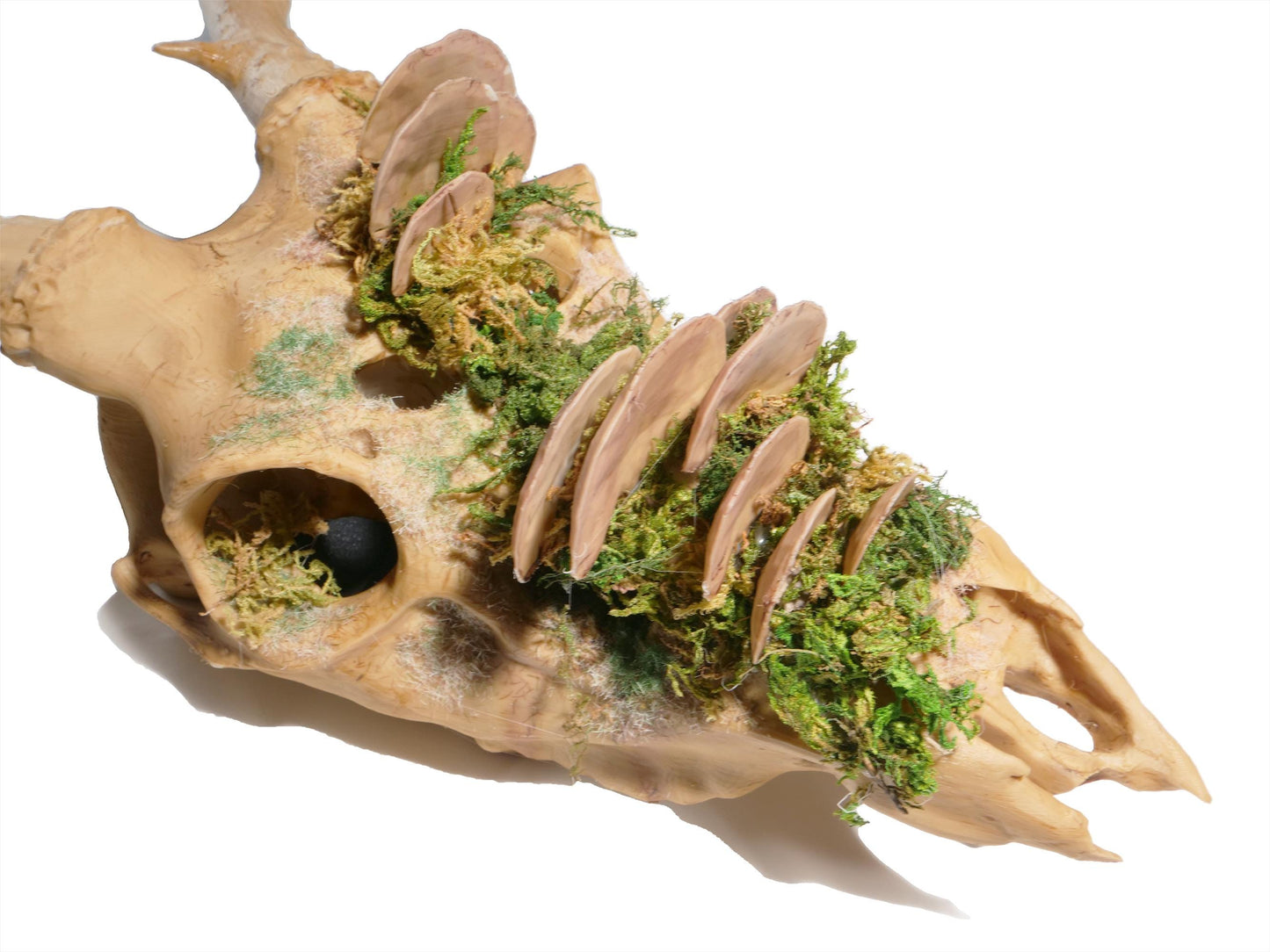 [Item 402: Cervid Effigy] — Faux Deer Skull Mask