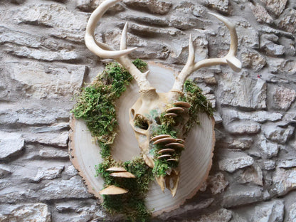 [Item 402: Cervid Effigy] — Faux Deer Skull Mask