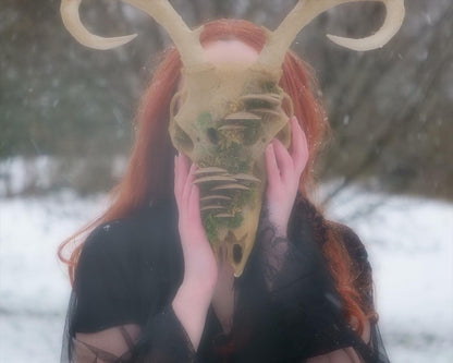 [Item 402: Cervid Effigy] — Faux Deer Skull Mask