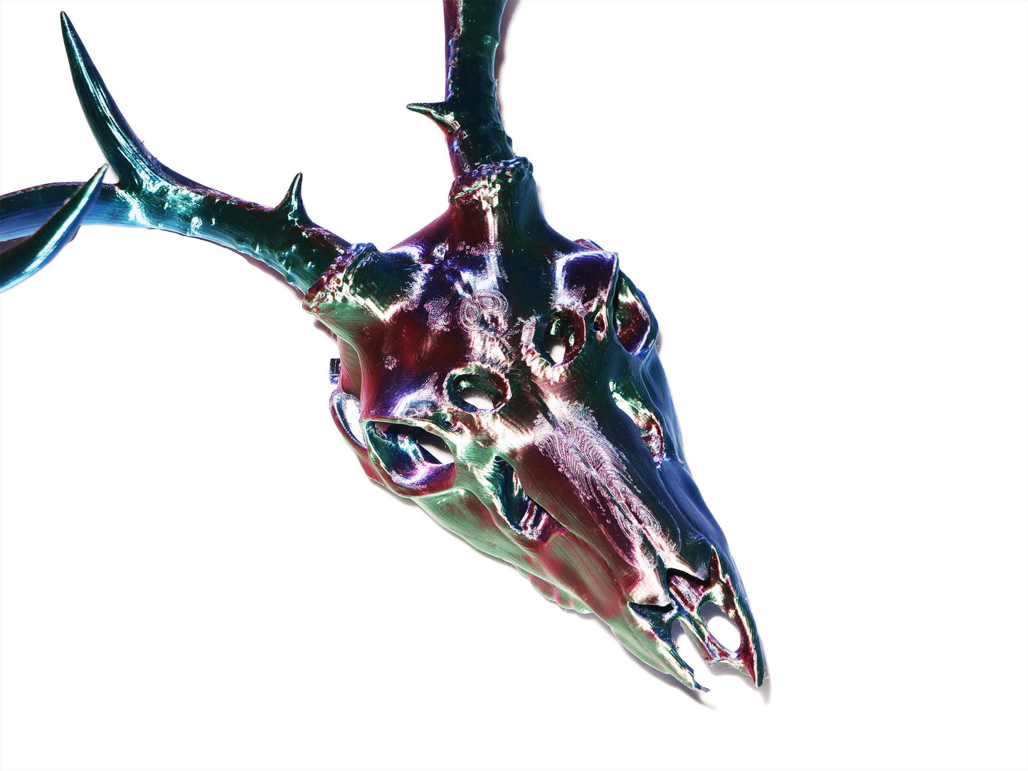[Item 404: Ossiform Interface] – Model D: Cervocranial Relic