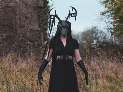 [Item 404: Ossiform Interface] – Model D: Cervocranial Relic