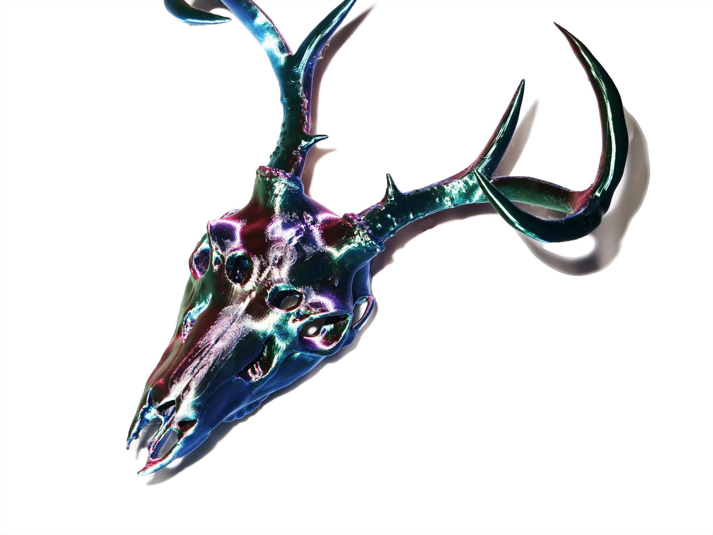 [Item 404: Ossiform Interface] – Model D: Cervocranial Relic