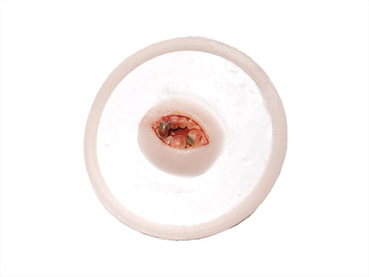 [Item 003: Ocular Rupture 52-A] — Pre-Painted Gouged Eye Prosthetic