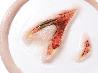 [Item 002: Laceration V-42] — Pre-Painted Gash Wound Prosthetic (Encapsulated Silicone)