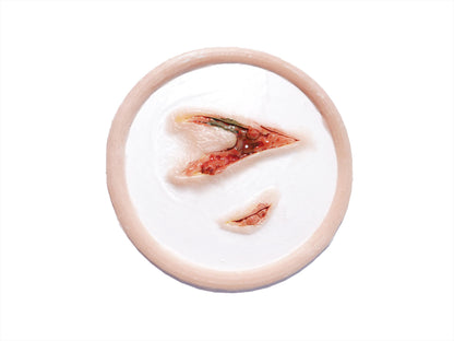 [Item 002: Laceration V-42] — Pre-Painted Gash Wound Prosthetic (Encapsulated Silicone)