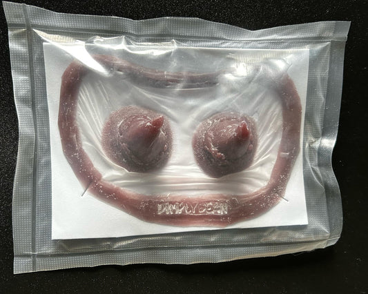 Assorted Discount Silicone Prosthetics – Cap Plastic Encapsulated FX Wounds & Features – On Sale!