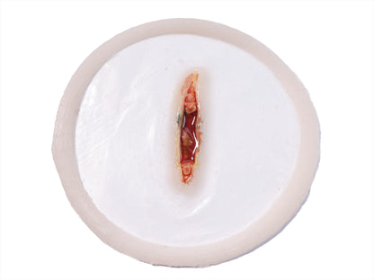 [Item 001: Laceration V-17] — Pre-Painted Small Gash Prosthetic (Encapsulated Silicone)