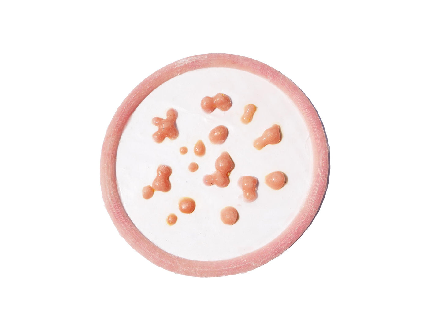 [Item 008: Dermal Bloom] – Cluster B6 Infection Prototype