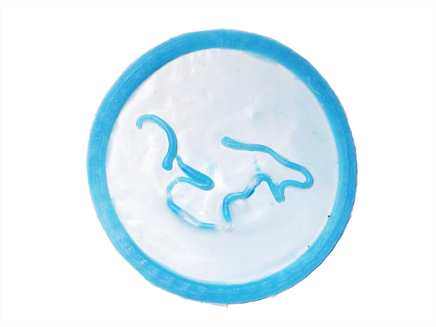 [Item 029: Subcutaneous Parasite T-75] — Tapeworm Under-Skin Prosthetic