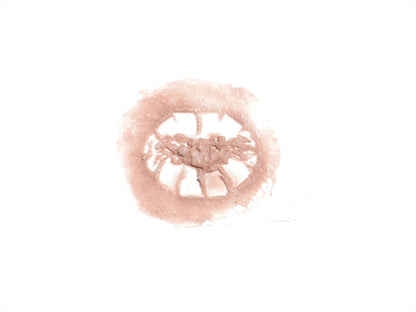 [Item 110] Zombie Bite Bondo Transfer