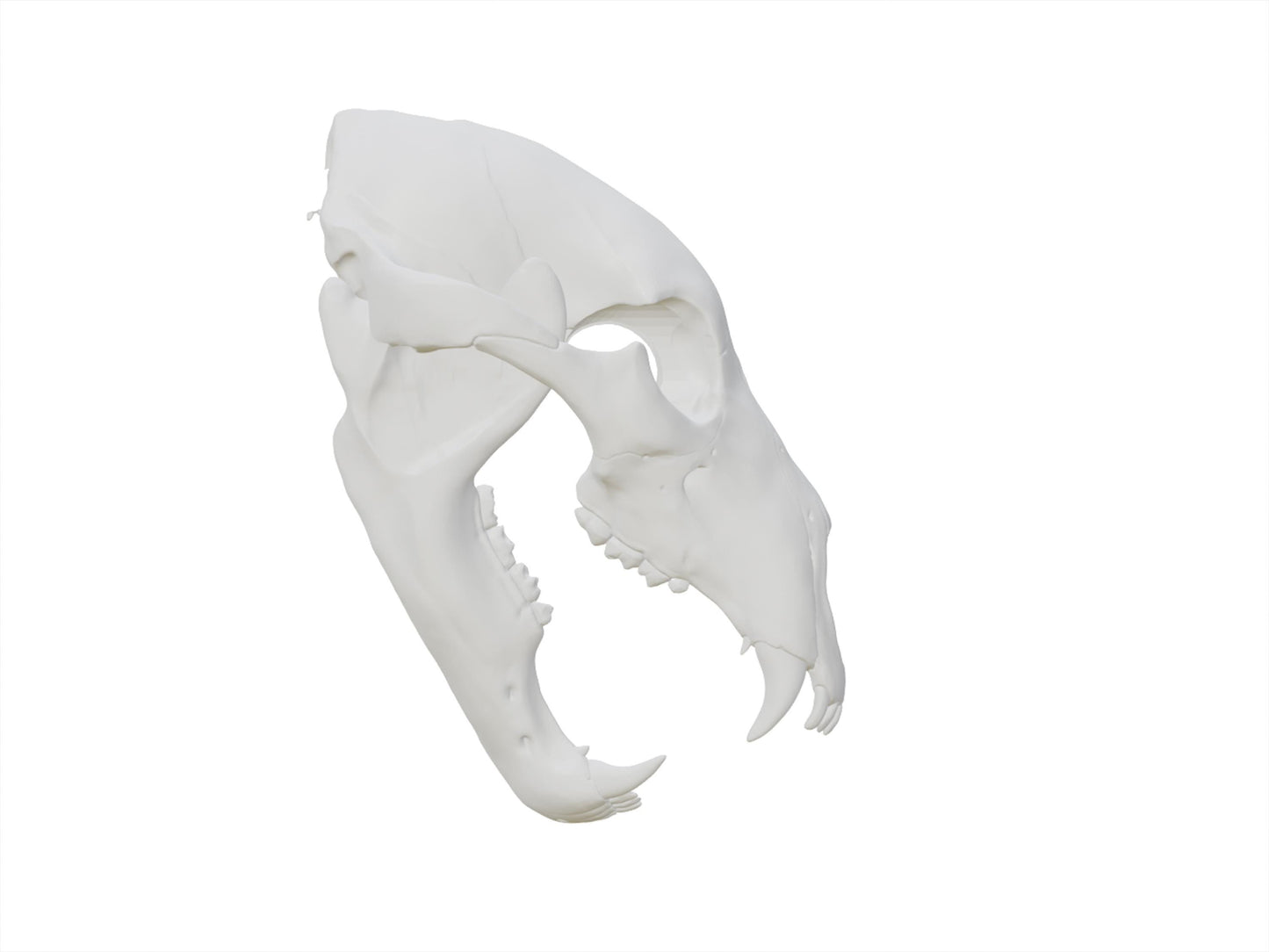 [Item 401: Relic Skull MK-I] — 3D Printed Beast Skull Mask