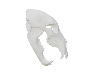 [Item 401: Relic Skull MK-I] — 3D Printed Beast Skull Mask