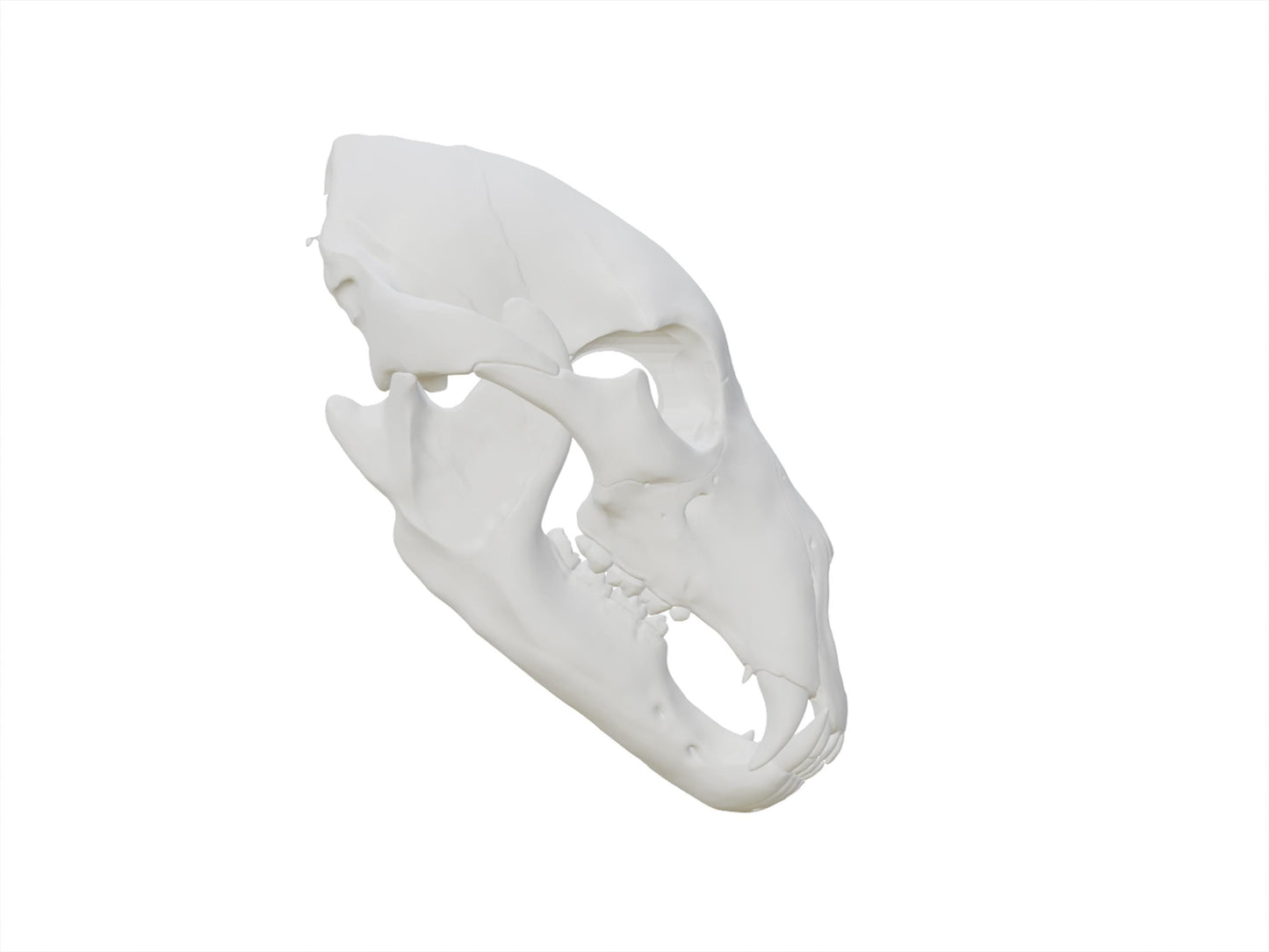 [Item 401: Relic Skull MK-I] — 3D Printed Beast Skull Mask