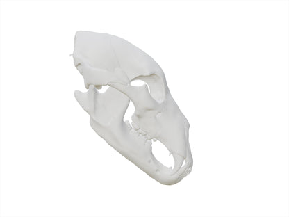 [Item 401: Relic Skull MK-I] — 3D Printed Beast Skull Mask