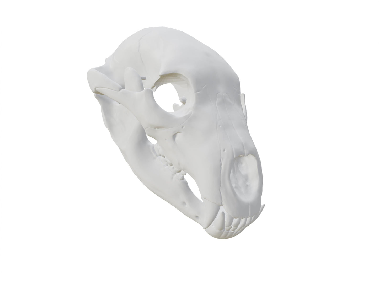 [Item 401: Relic Skull MK-I] — 3D Printed Beast Skull Mask