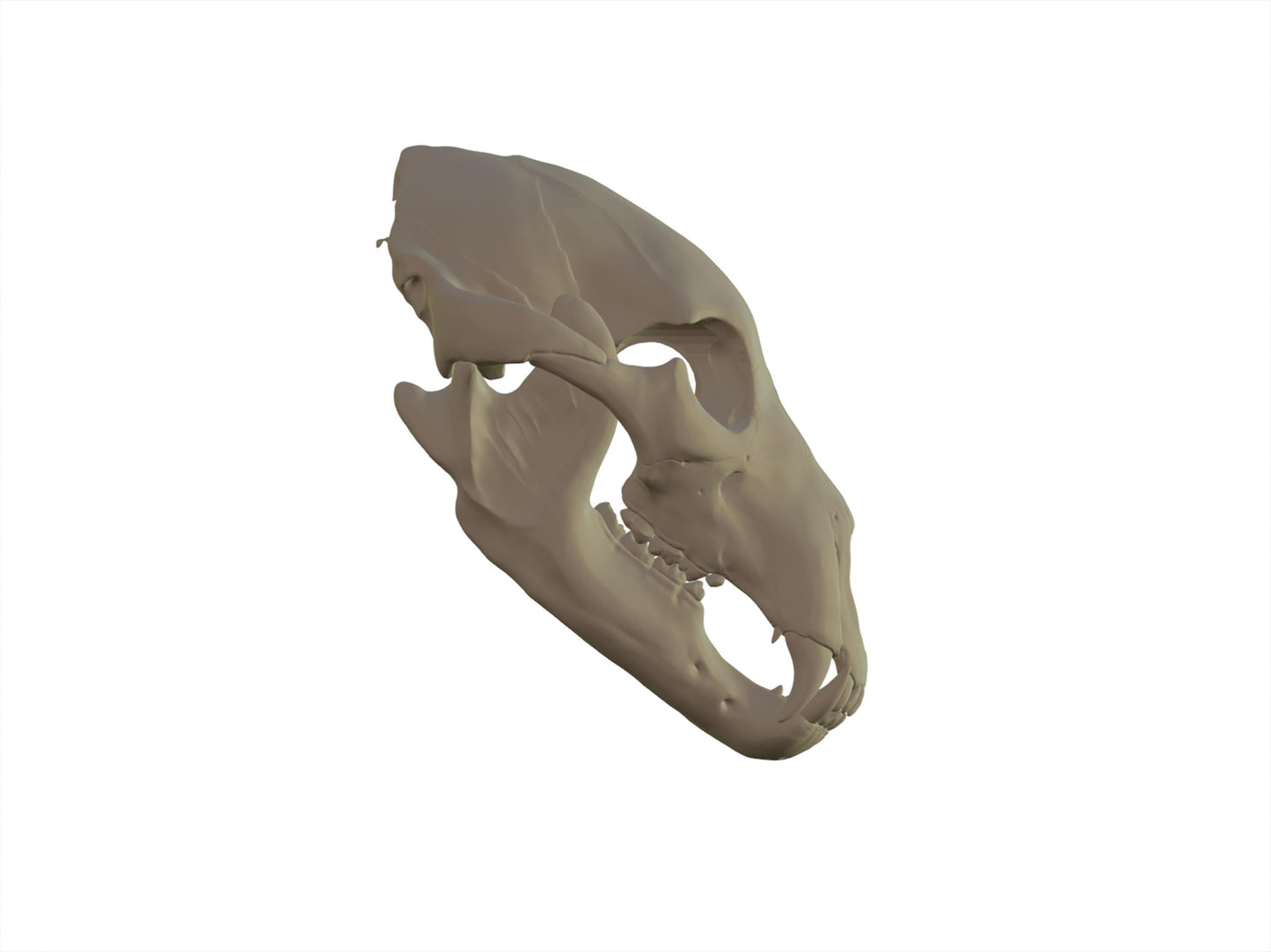 [Item 401: Relic Skull MK-I] — 3D Printed Beast Skull Mask