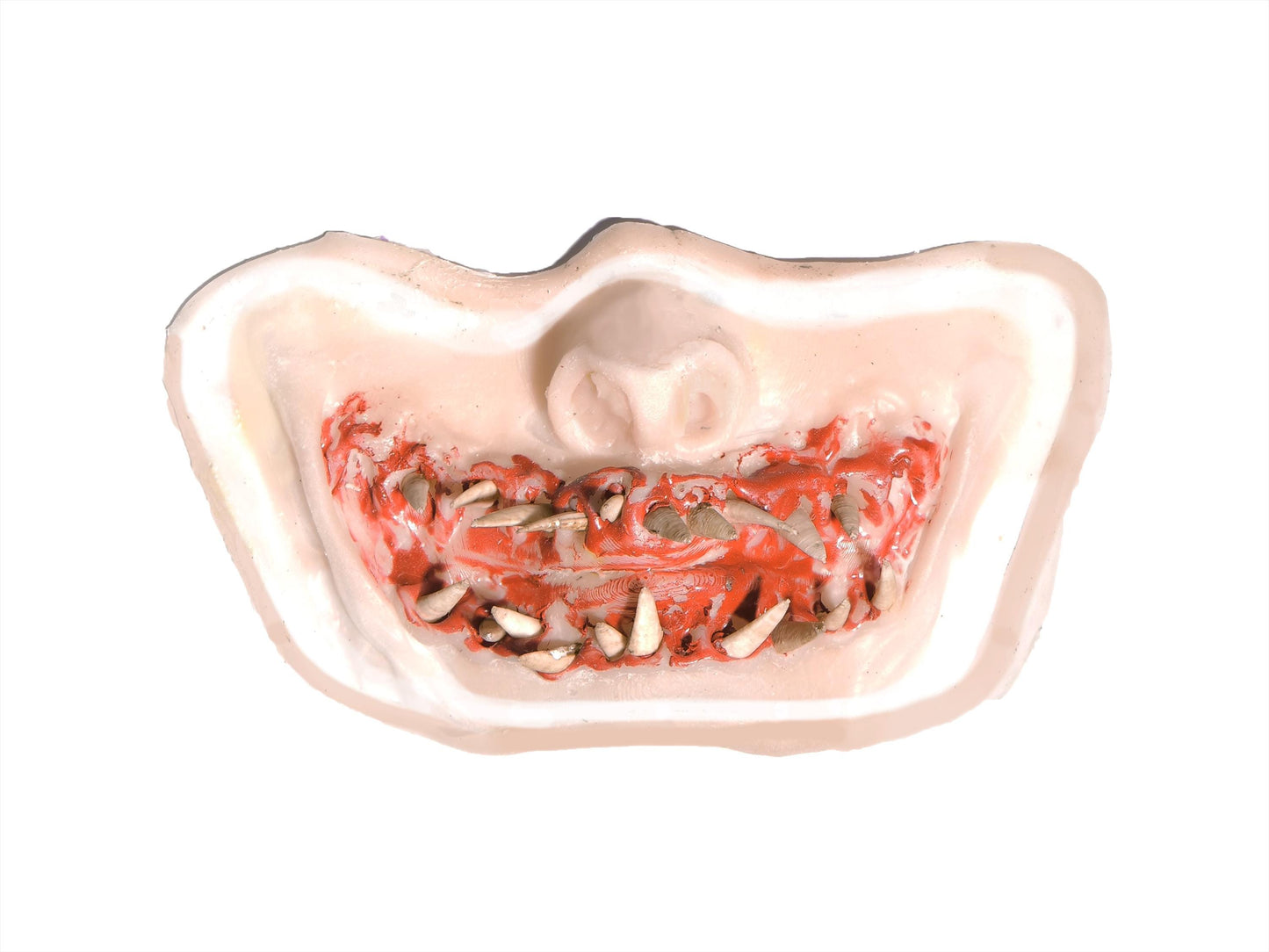 [Item 302: Snarl X-150] — Pre-Painted Animal Snarl Prosthetic